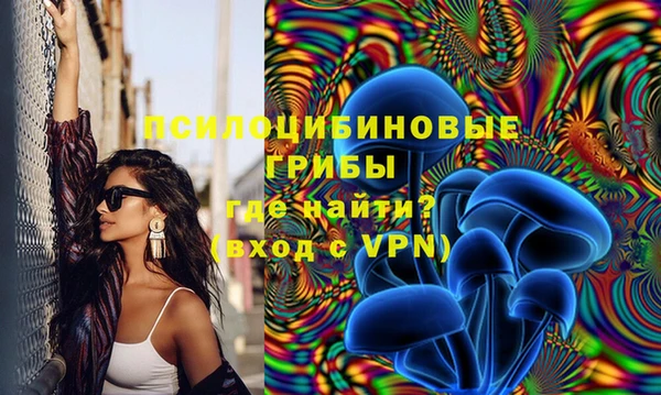 соль курить ск Бородино
